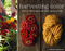 Harvesting Color: How to Find Plants and Make Natural Dyes